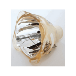 Z933796630 Bulb